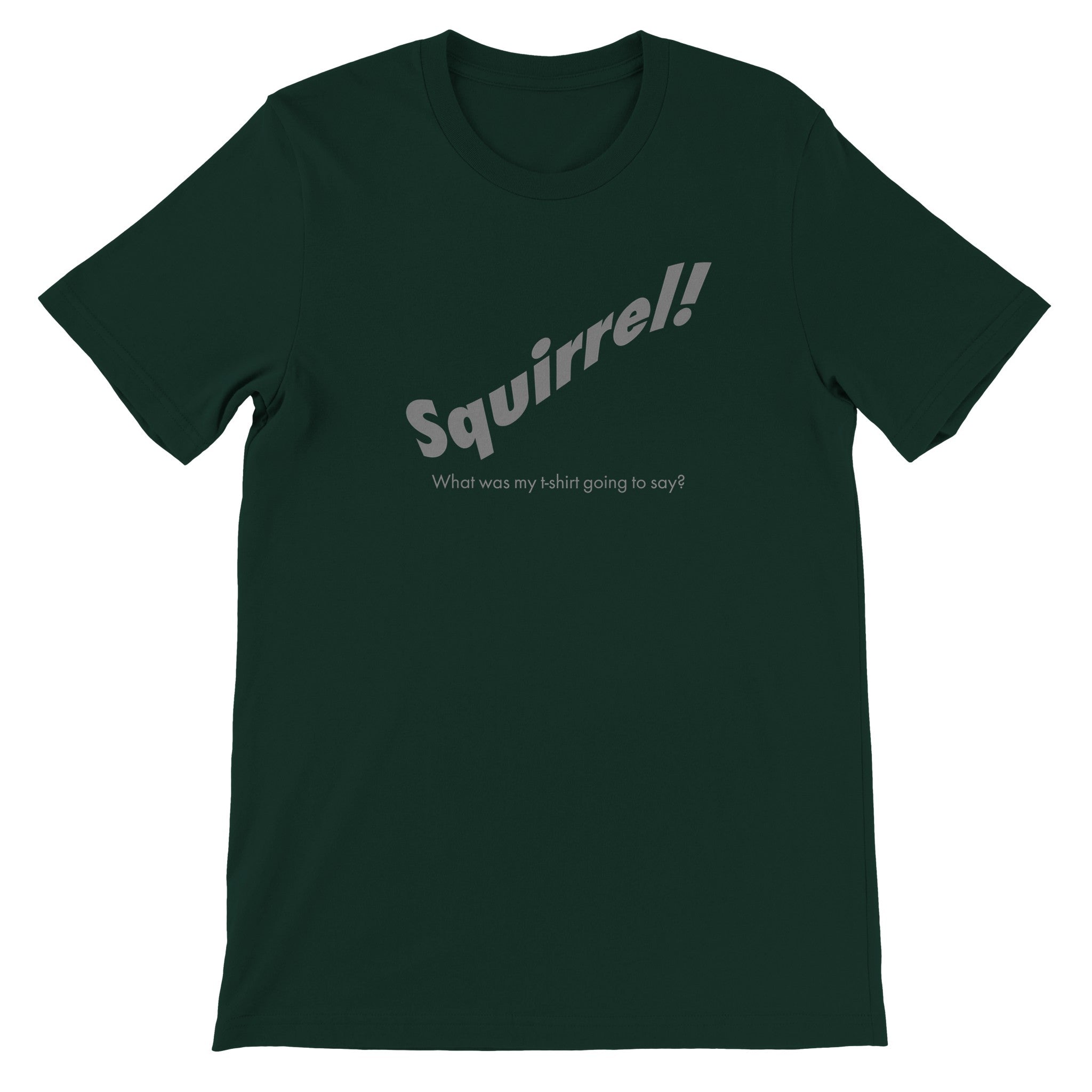 Squirrel! What was my t-shirt going to say?